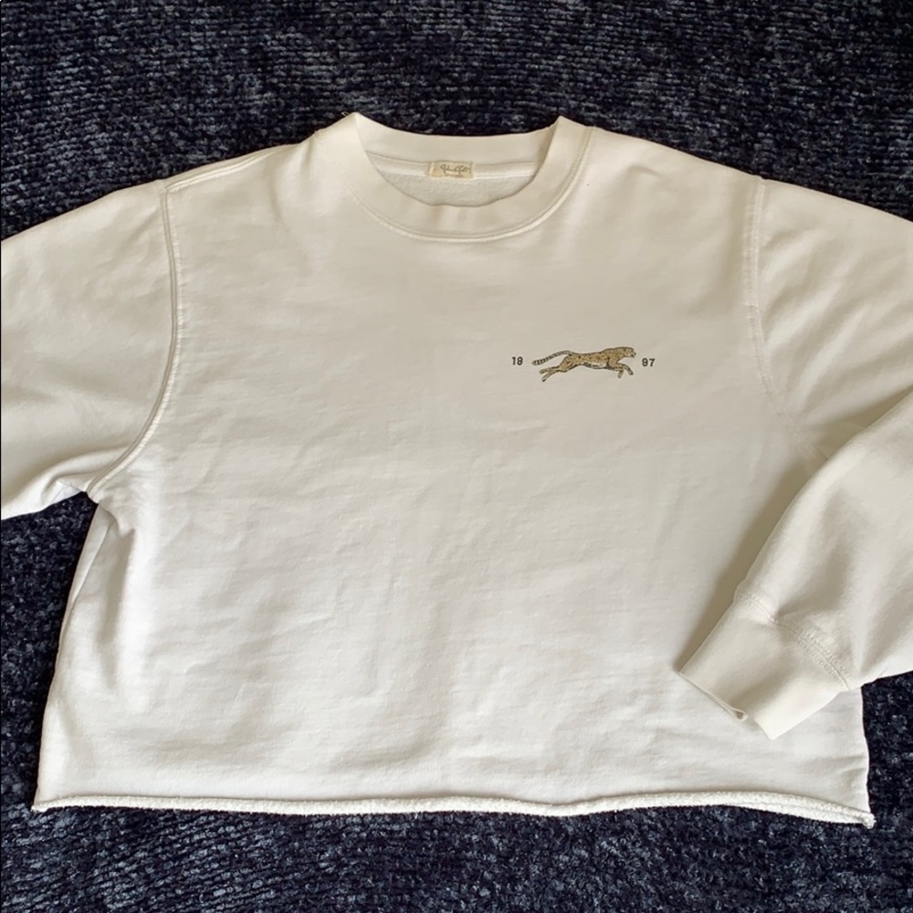 Rare, Cropped Brandy Melville sweatshirt
